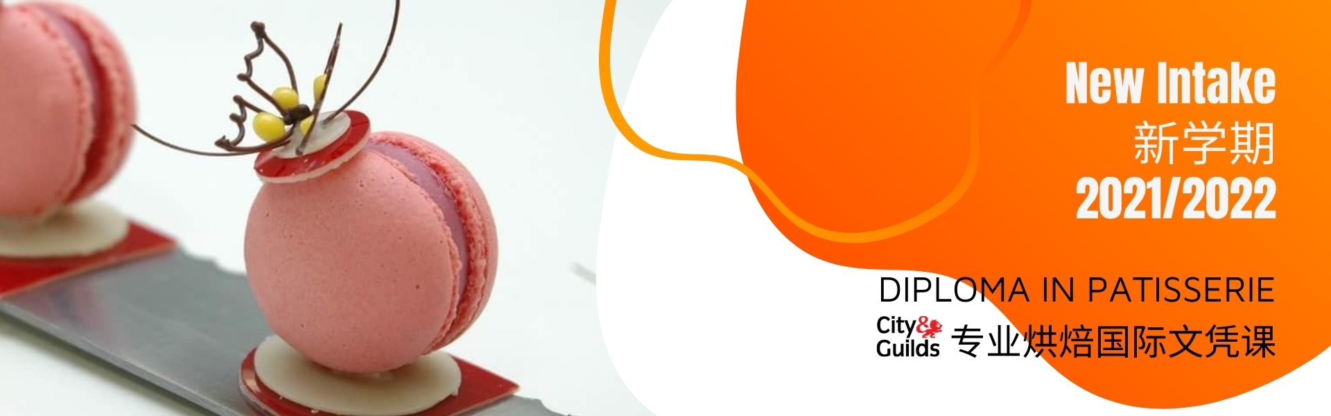 Banner 1